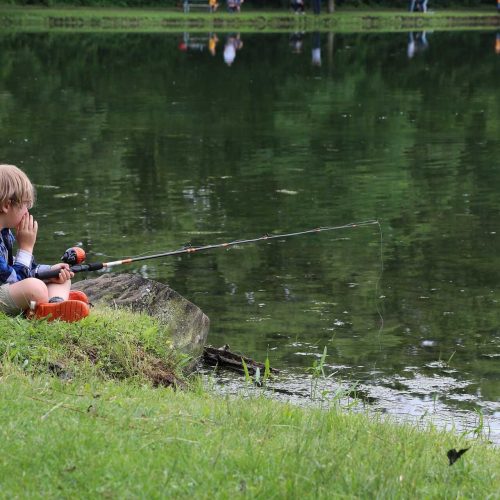 child-fishing-3867994_1920_optimized